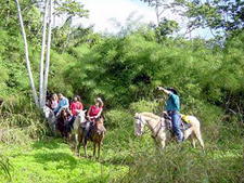 Belize-Coast & Interior-Jungle & Coast Explorer